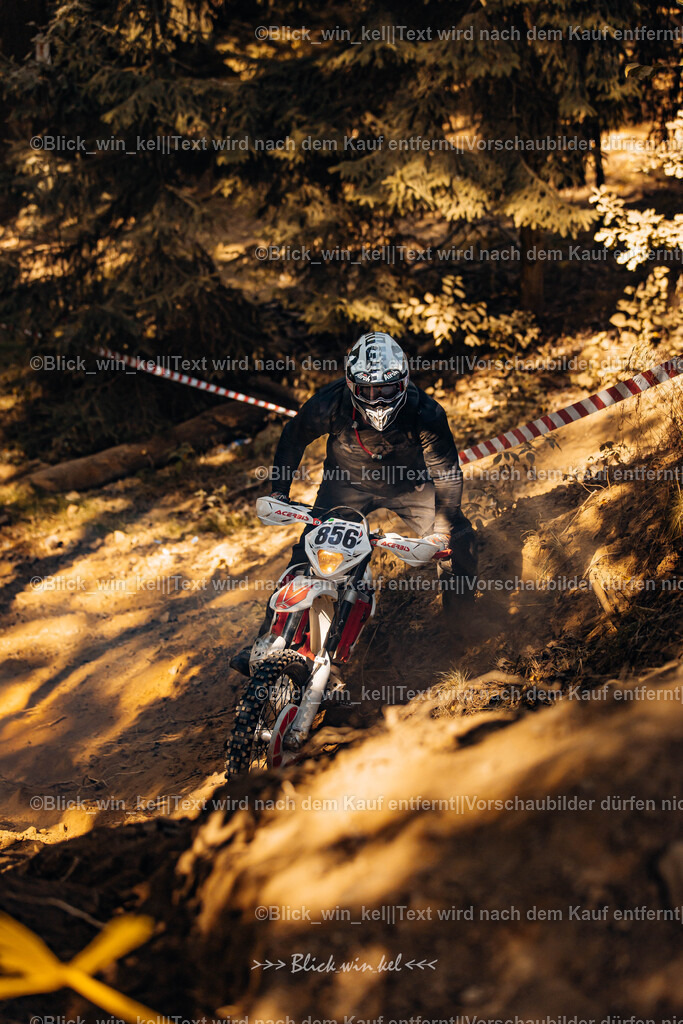 E68A6355 | blick_win_kel