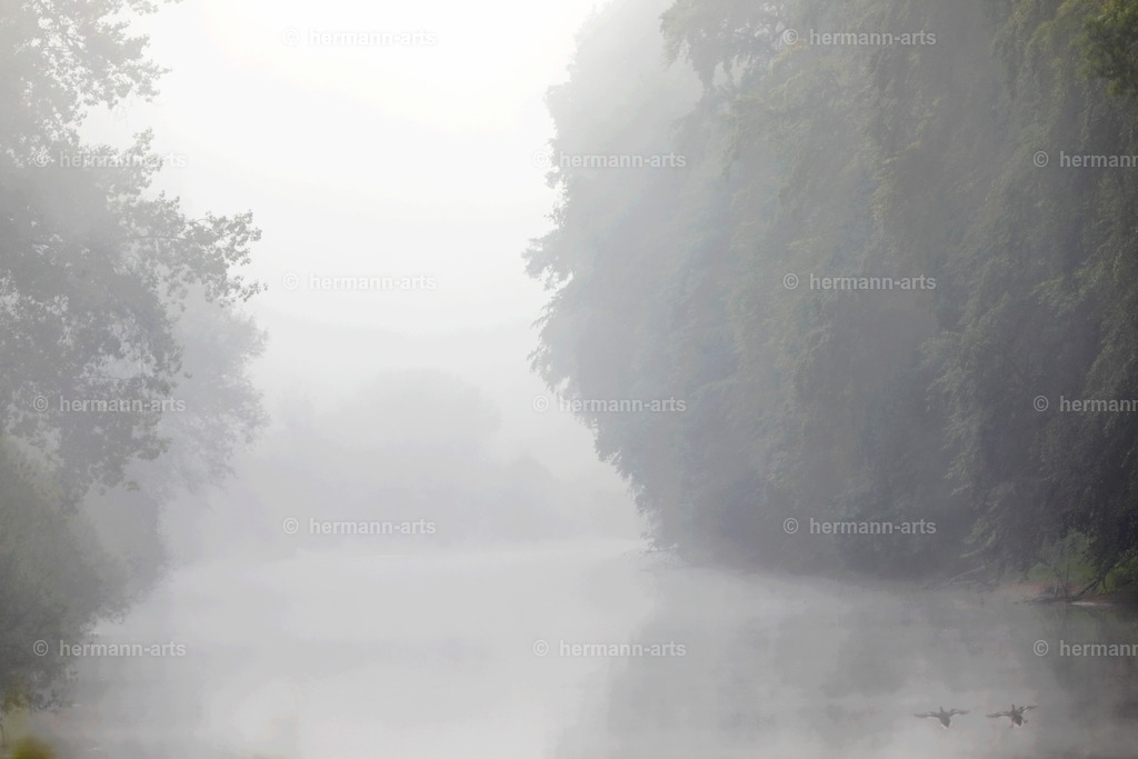 Nature-Arts-006 | Photo Foto Kunst Art schwarzweiss Bilder Rheine Münster Berlin Blumen 
