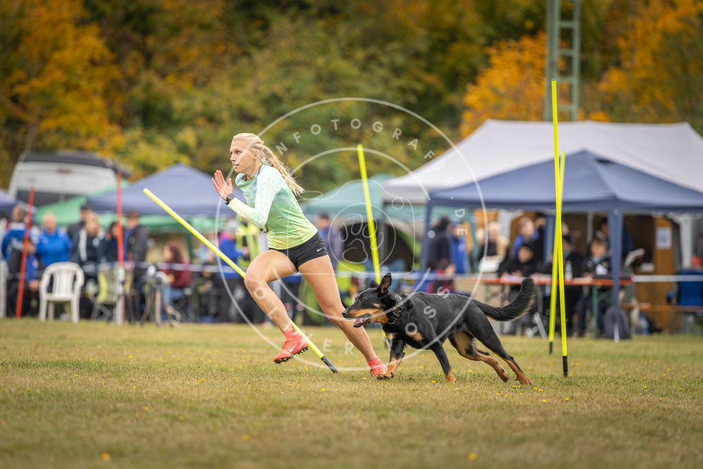 Pfotenfotografie_DV3A4152 | Hundefotografie, Tierfotograf, Pfotenfotografie, Fotoshooting Hund, Hunde Portrait, Hundesport, Hundeportraits, Heideshooting, Hunde, Sportfotograf, Hundefotograf, Turnierhundsport, THS,  - Realisiert mit Pictrs.com