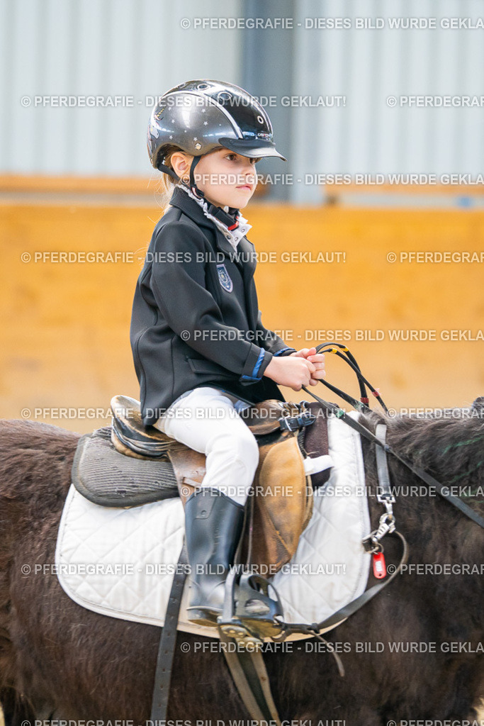 DSC00432 | Pferdegrafie