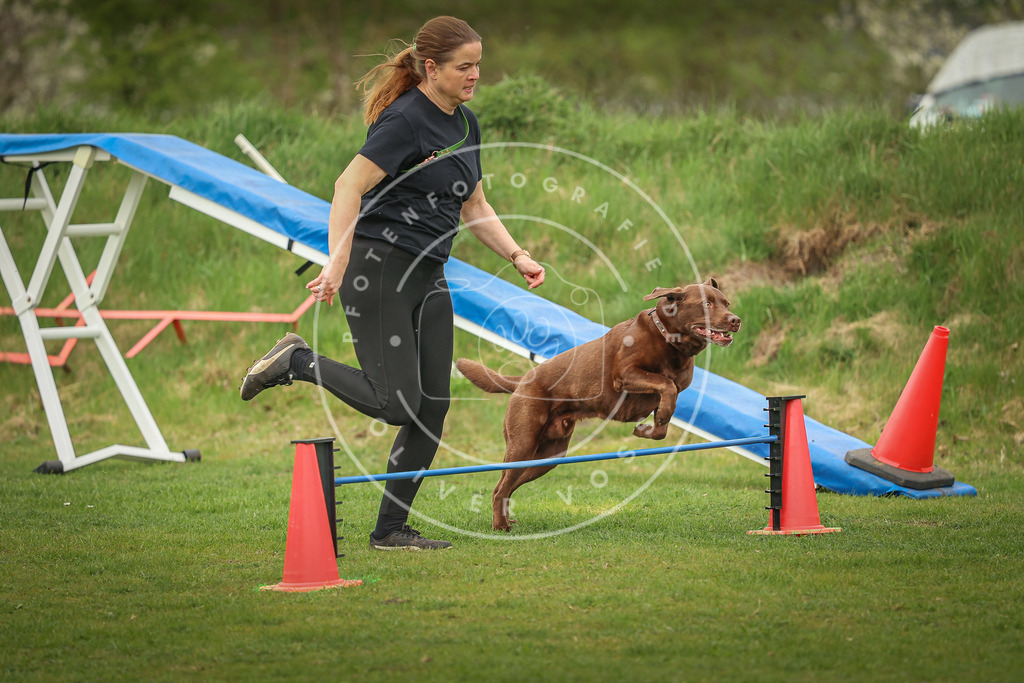 Pfotenfotografie_0L8A1094 | Hundefotografie, Tierfotograf, Pfotenfotografie, Fotoshooting Hund, Hunde Portrait, Hundesport, Hundeportraits, Heideshooting, Hunde, Sportfotograf, Hundefotograf, Turnierhundsport, THS,  - Realisiert mit Pictrs.com