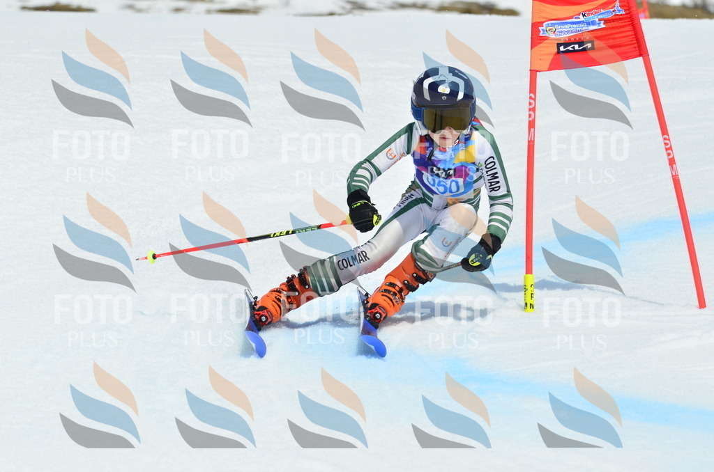 _ELE2674 | holidayphoto