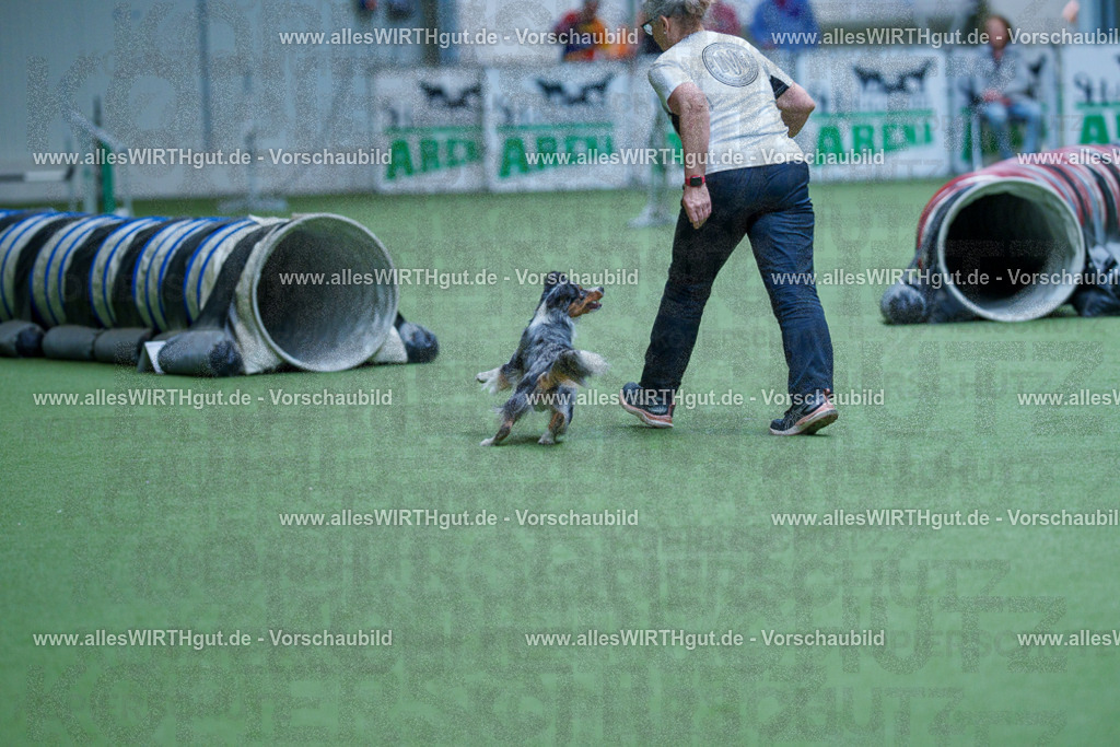 @allesWIRTHgut_Tierfotografie - www.allesWIRTHgut.de - 2604251442-7R505375 | Professionelle Tierfotografie in Mönchengladbach von Daniel Wirth (allesWIRTHgut). Liebevolle & natürliche Bilder von Hunden & Katzen für unvergessliche Erinnerungen.