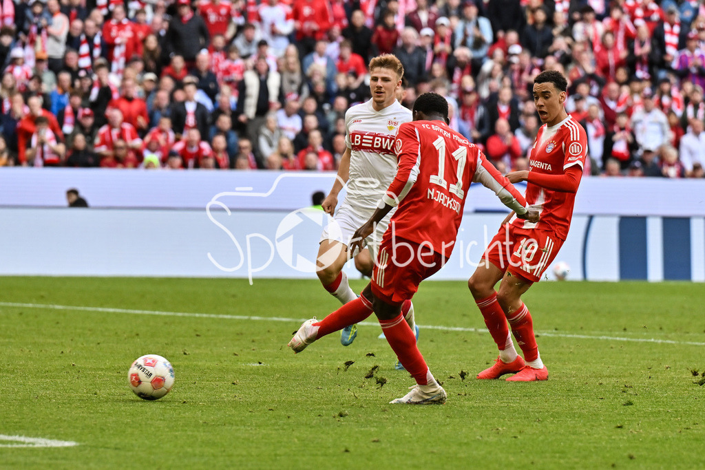 FC Bayern München - VfB Stuttgart | MUNICH, GERMANY - 19. APRIL: Nicolas JACKSON (FC Bayern Munich 11) scores the goal to makes it 2-1 / Tor / Torschuetze / Freude / Happy during the Bundesliga Match between FC Bayern Munich vs. VfB Stuttgart at Matchday 30 at Allianz Arena / DFL REGULATIONS PROHIBIT ANY USE OF PHOTOGRAPHS AS IMAGE SEQUENCES AND/OR QUASI-VIDEO