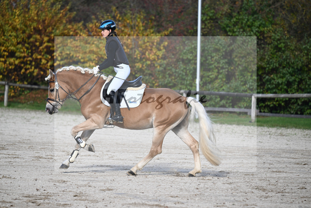 Kat-Nr. 6 Solero-D_Mahlknecht_44240862 | hf-fotografie - Realisiert mit Pictrs.com