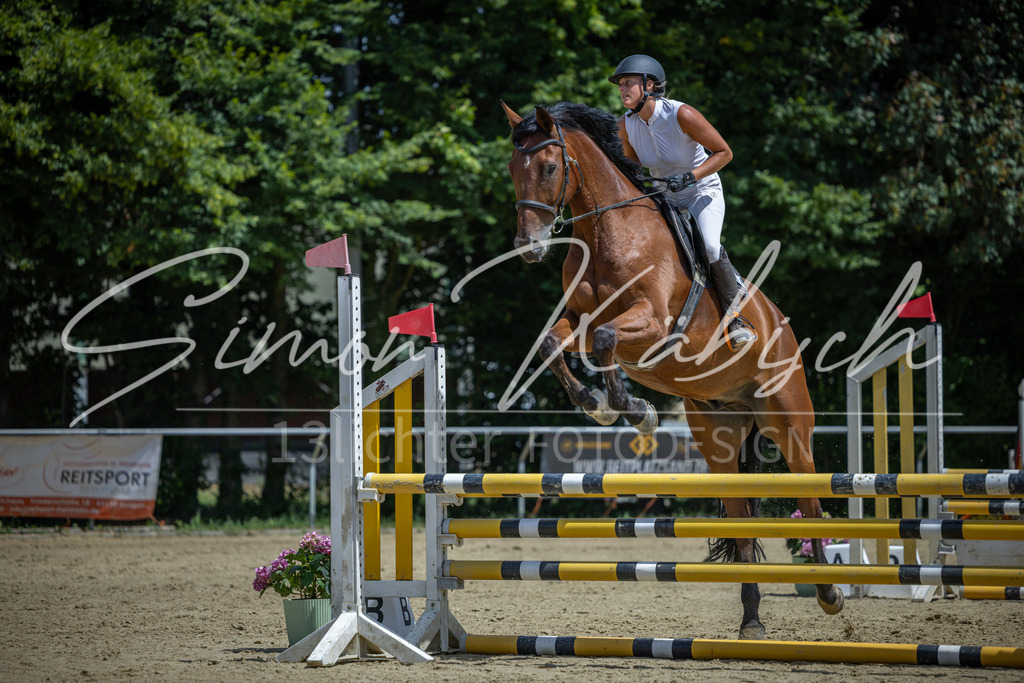 20260704-_3LI9495 | Tierfotografie Pferde, Hunde, Katzen, Haustiere.
Turnierfotografie Reitturniere, Reiten, Springreiten, Dressur in Hanau, dem Main-Kinzig-Kreis und dem Rhein-Main- Gebiet um Frankfurt