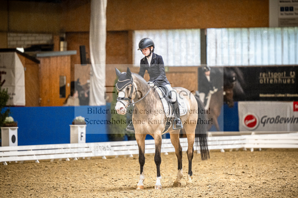 DOS_4278 | Entdecke hochwertige Reitturnierfotos von Foto Oger. Professionell, emotional und authentisch – jetzt Lieblingsmomente im Shop bestellen.Deutschlandweite Turnierfotografie. - Realisiert mit Pictrs.com
