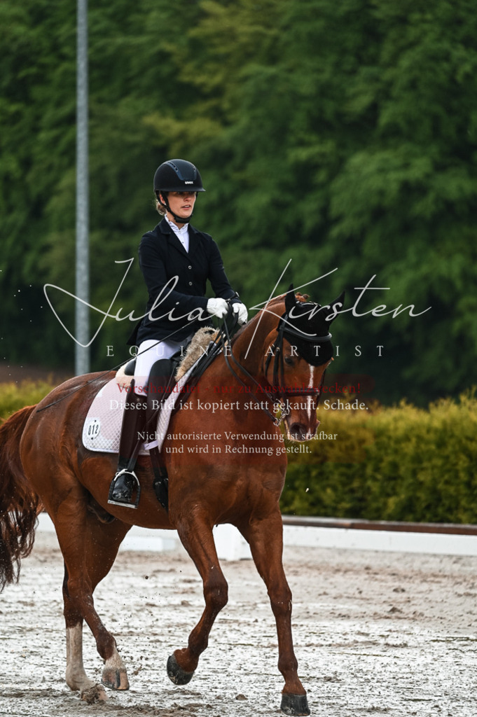 DSC_4255 | Pferde- und Turnierfotografie in Westsachsen. Pferdeportraits, Auftragszeichnungen und intuitive Kunst.