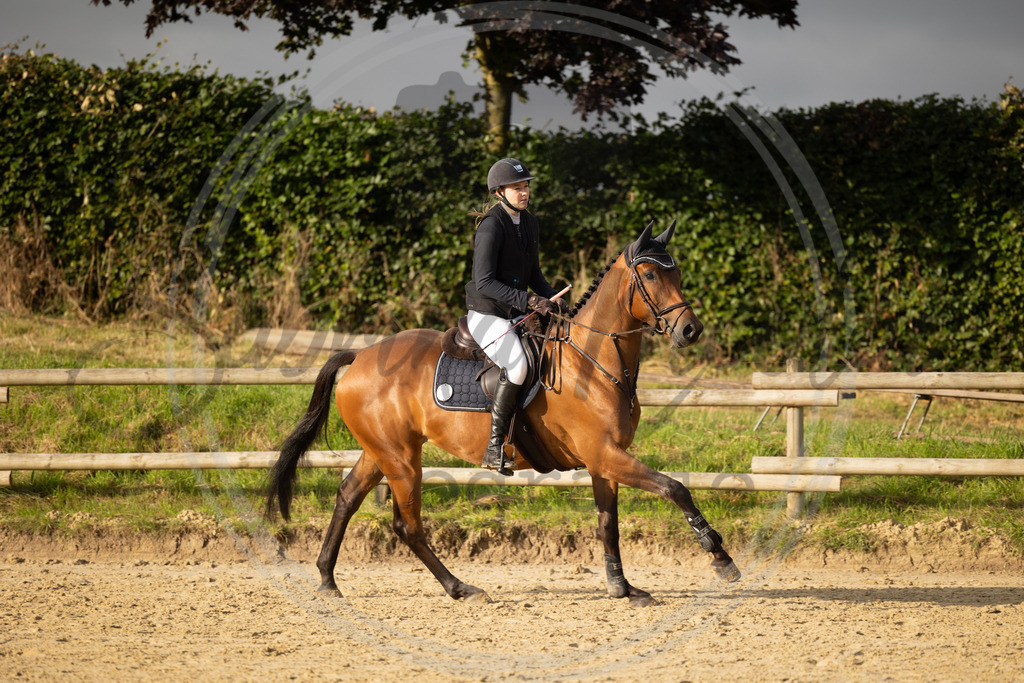 994A7027 | sabrinanicolaifotografie - Realisiert mit Pictrs.com