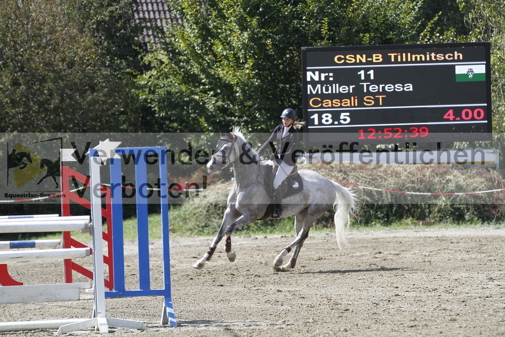 _MG_6478 | equestrian-live-com