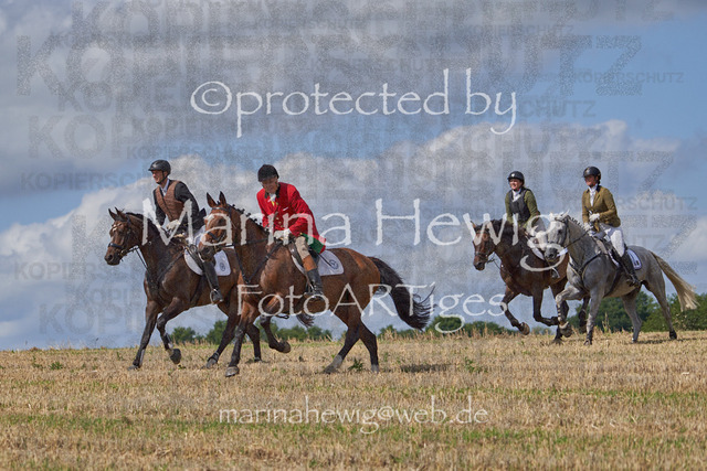 _MCH8477_Marina Hewig | Fotografie, FotoArt, PferdesportArt, Pferdesportfotografie, Landschaftsfotografie, Reisefotografie, Reise, Pferde - Realisiert mit Pictrs.com