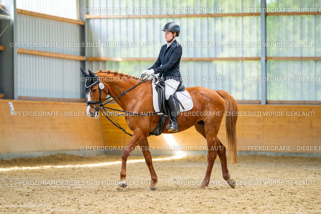 DSC08531 | Pferdegrafie