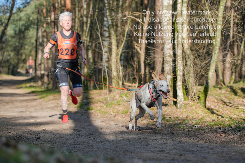 Sa_CC_lang-158 | stephaniefillaphotographie - Realisiert mit Pictrs.com