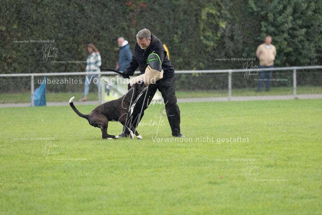 _16A7153 | Einzigartige Fotos von Hunden & Menschen –Actionfotos, Portraits, Vereinsaufnahmen & Paarshootings – authentisch, lebendig & mit Herz.