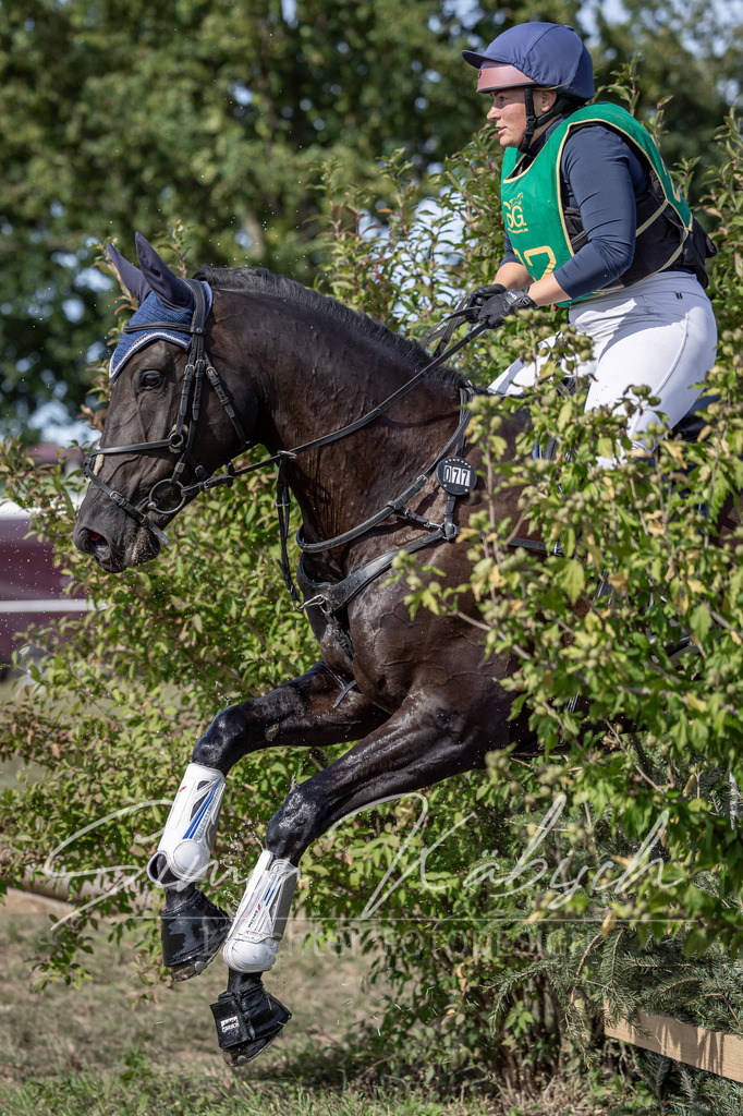 20250907-_3LI2320 | Tierfotografie Pferde, Hunde, Katzen, Haustiere.
Turnierfotografie Reitturniere, Reiten, Springreiten, Dressur in Hanau, dem Main-Kinzig-Kreis und dem Rhein-Main- Gebiet um Frankfurt