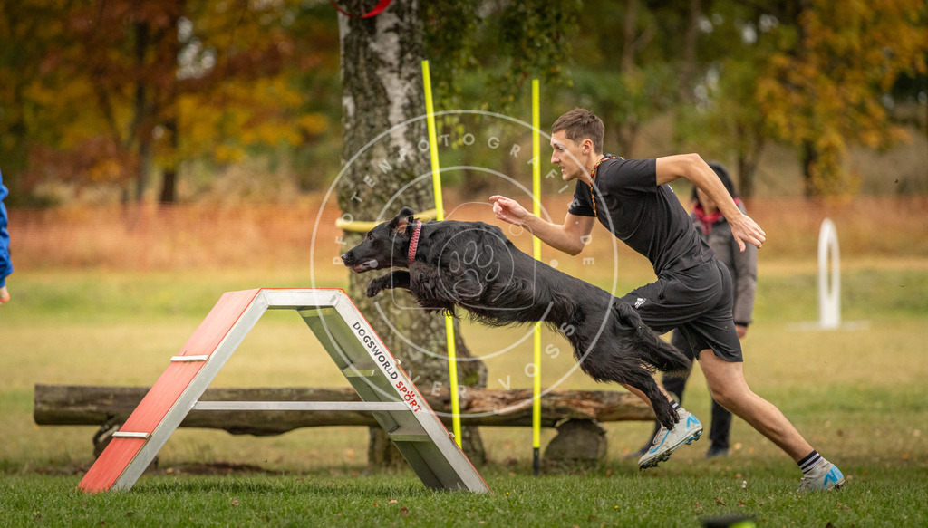Pfotenfotografie_DV3A7660 | Hundefotografie, Tierfotograf, Pfotenfotografie, Fotoshooting Hund, Hunde Portrait, Hundesport, Hundeportraits, Heideshooting, Hunde, Sportfotograf, Hundefotograf, Turnierhundsport, THS,  - Realisiert mit Pictrs.com