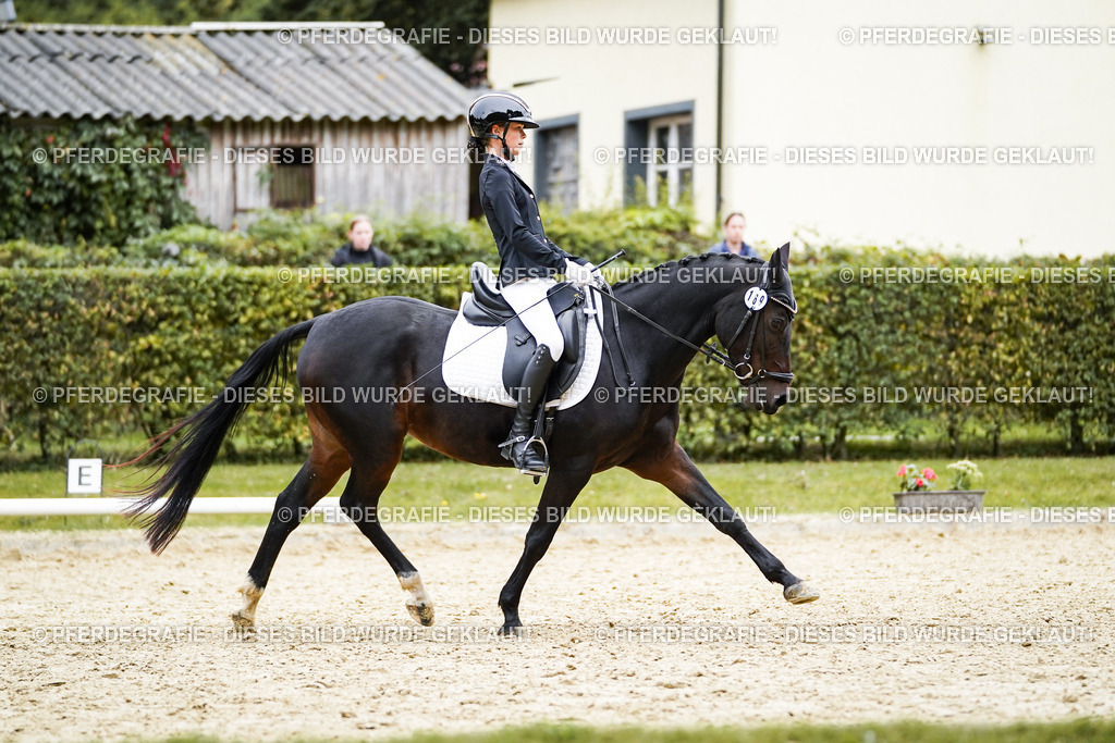 DSC09534 | Pferdegrafie