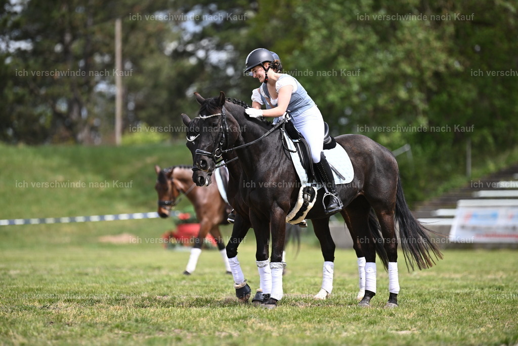 PI26_Show_Sara_Landvogt_226_0056.JPG | working equitationturnier fotograf videograf stoibphotography marixx film working equitation deutschland reitsport turnierfotografie eventfotografie equestrian events