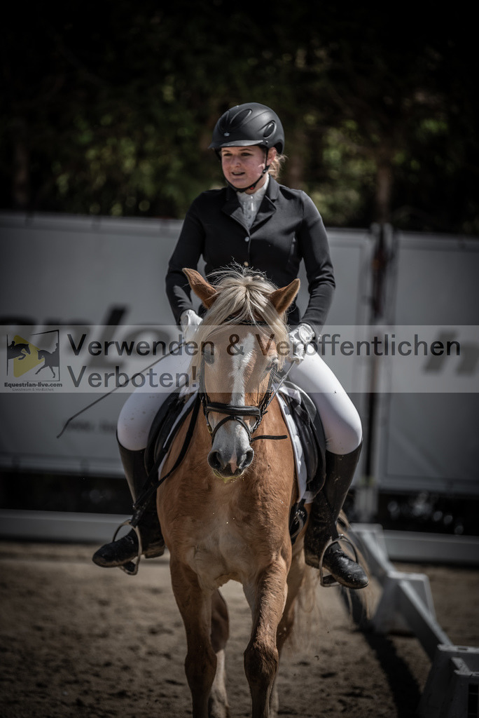 DSC_0655 | equestrian-live-com