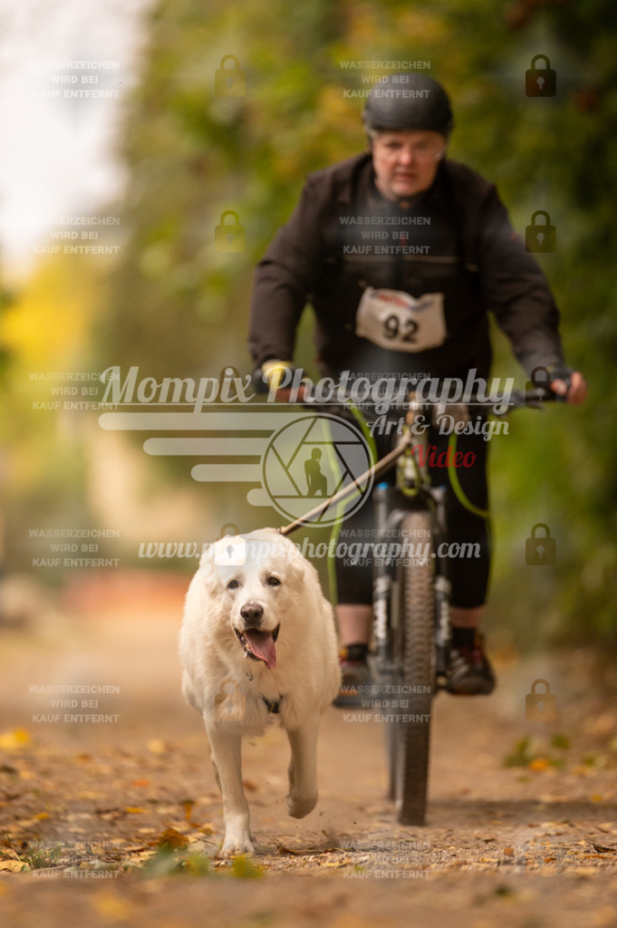 CDLBDB_14_10_2023_Samedi-132 | mompixphotography