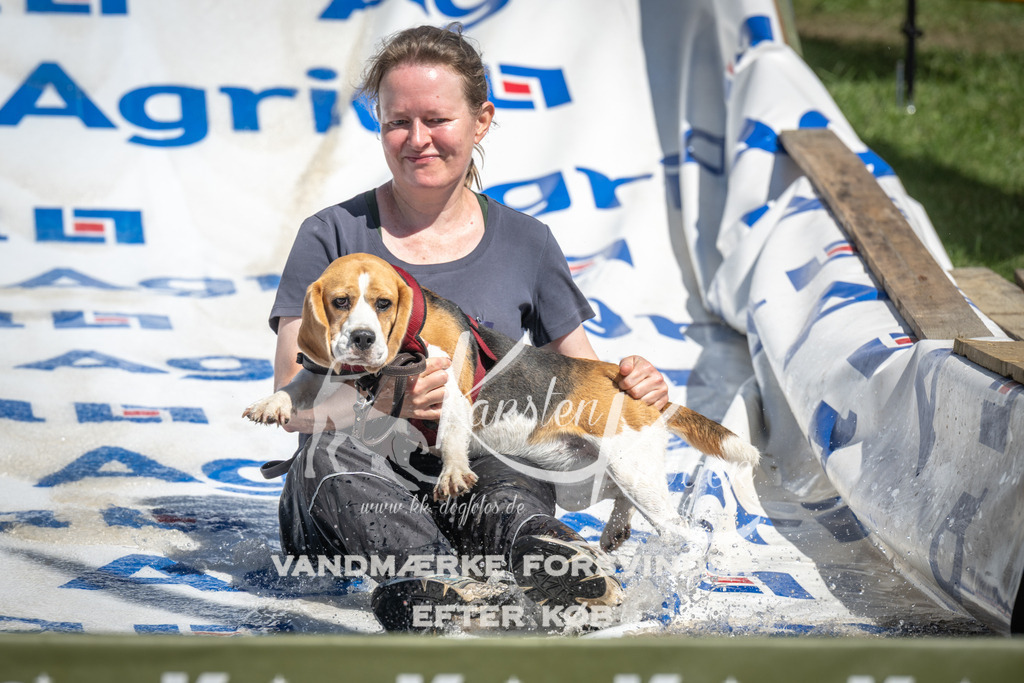 1333_ZZ90472 | kk-dogfotos