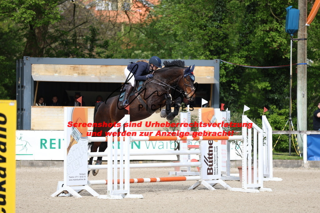 A40A2954 | lmwpictures - Realisiert mit Pictrs.com