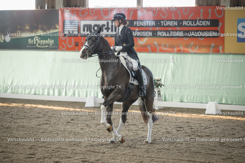 _D5A7866 | Emotionale Pferde- & People-Fotografie rund um Heidelberg, Leimen & Umgebung. Natürliche Fotos von Pferd, Mensch & Familie. Jetzt Termin sichern!