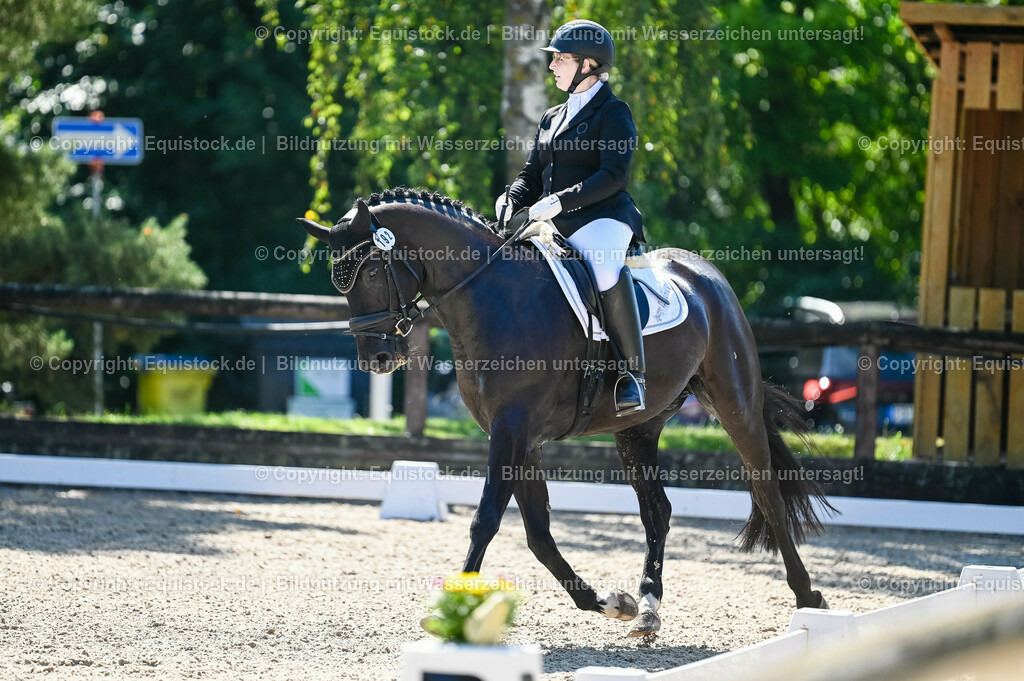 20230908_06_Dressur-L-Trense_0680 | equistock