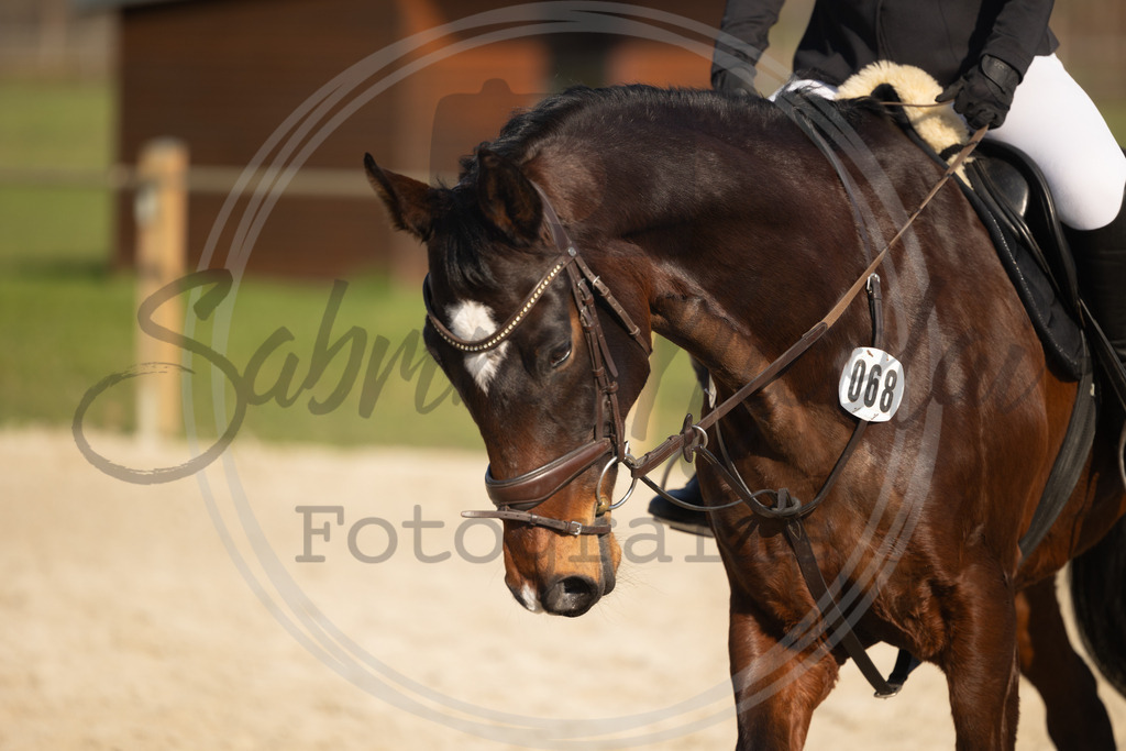 994A9722 | sabrinanicolaifotografie - Realisiert mit Pictrs.com