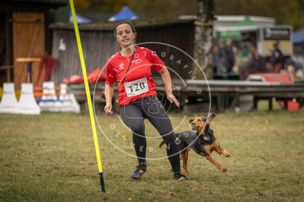 Pfotenfotografie_DV3A7271 | Hundefotografie, Tierfotograf, Pfotenfotografie, Fotoshooting Hund, Hunde Portrait, Hundesport, Hundeportraits, Heideshooting, Hunde, Sportfotograf, Hundefotograf, Turnierhundsport, THS,  - Realisiert mit Pictrs.com