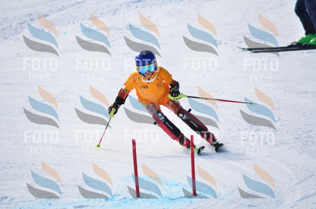 C8739 | holidayphoto