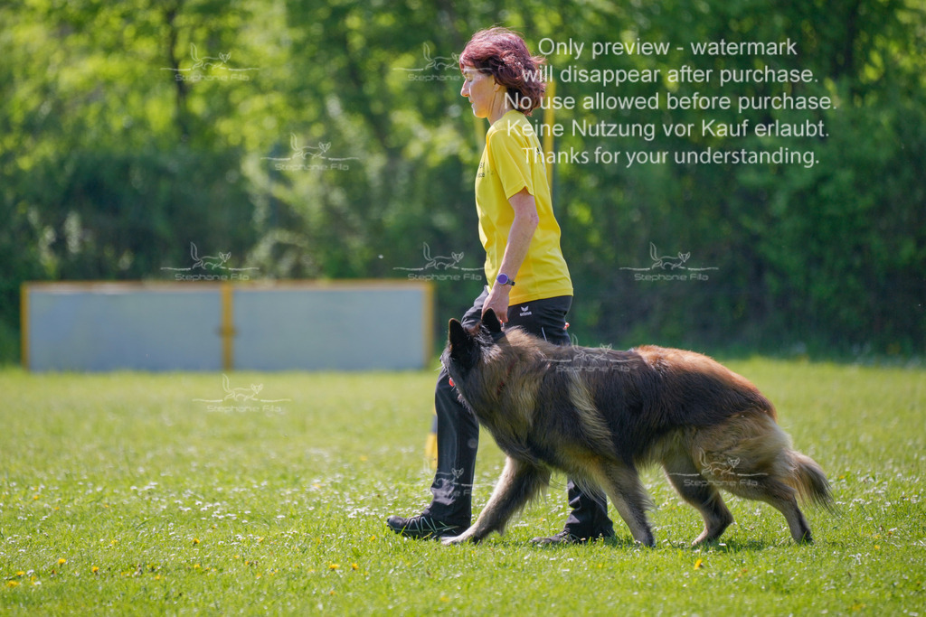 Sa_Gehorsam_02-80 | stephaniefillaphotographie - Realisiert mit Pictrs.com