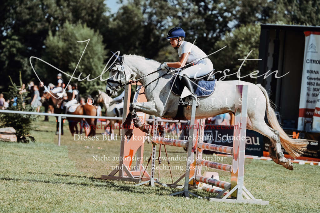 DSC_6525 | Pferde- und Turnierfotografie in Westsachsen. Pferdeportraits, Auftragszeichnungen und intuitive Kunst.
