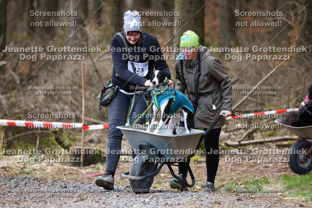Dog Paparazzi - VCC26-863 | Dog Paparazzi Jeanette Grottendiek Fotografie & Videografie - Realisiert mit Pictrs.com