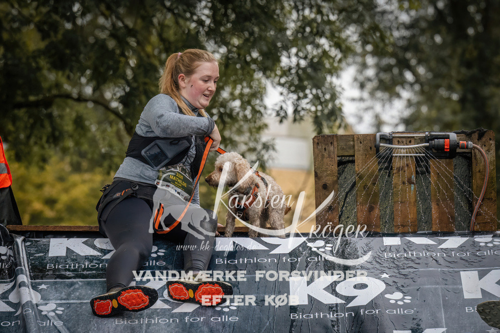 1202_ZZ94139 | kk-dogfotos