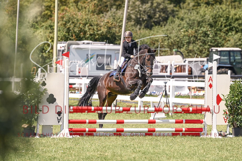 Schugtsche-Düren.2024-05.Springprf.E-49 | Schugtsche Fotografie - Realisiert mit Pictrs.com