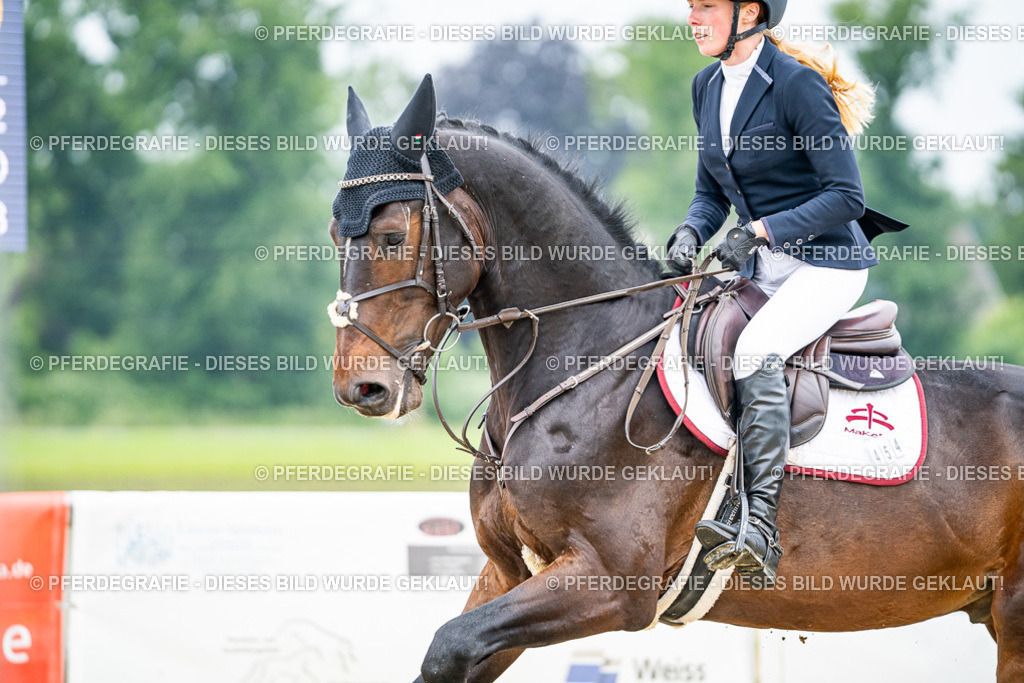 DSC00146 | Pferdegrafie