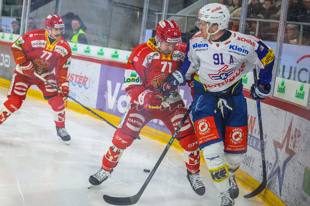 EHCB vs EHCK_wb-1492 | Sportbilder, Sportfotograf, Hochzeits- und Eventfotografin, Flugshows, Portraits und Tiershooting, Aviation, Downhill, Nationalleague, Swissleague, International
