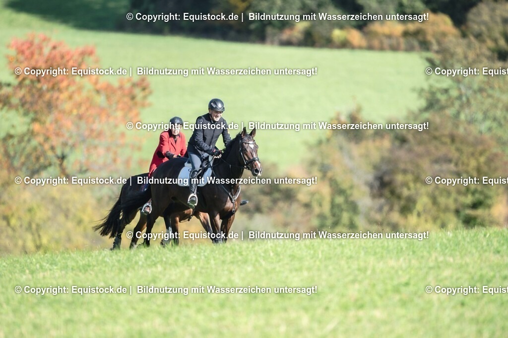 20251011_Jagd-Marbach_0340 | Foto: Thomas Hartig