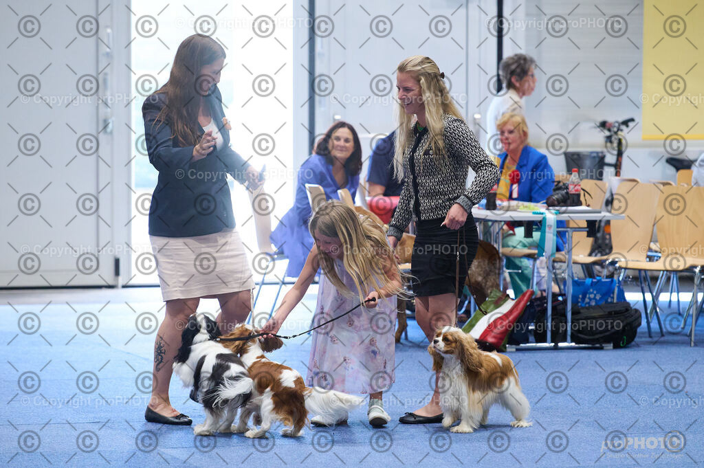 202406_ÖKV-IHA-Tulln24_DSC_2831 | proPHOTO - Realisiert mit Pictrs.com