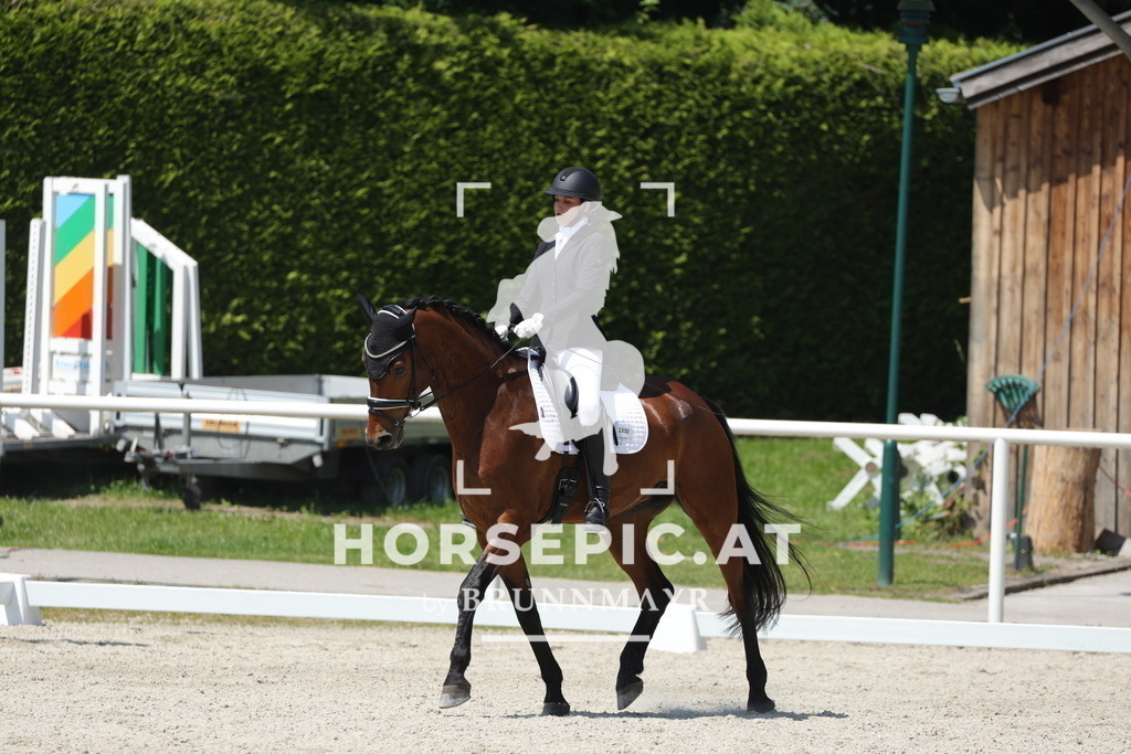 0P6A1192 | Willkommen bei Brunnmayr - Design & Fotografie – Ihrem Spezialisten für Reitturniere und Pferdeveranstaltungen in Oberösterreich, Salzburg und Bayern! Seit über 17 Jahren sind wir leidenschaftlich dabei.