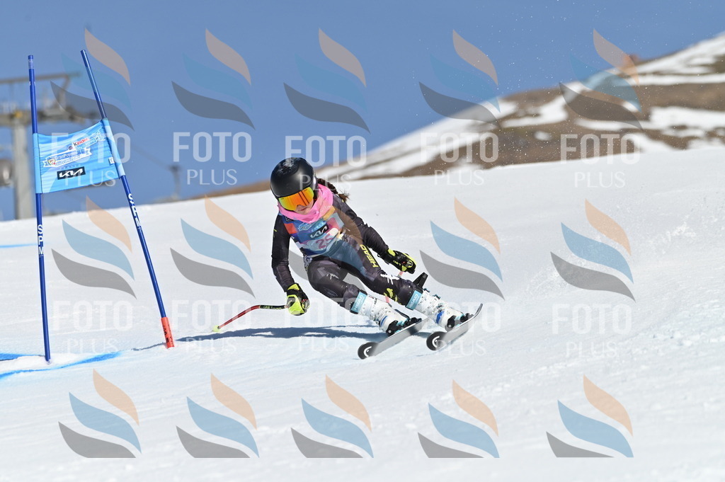 BGV_8050 | holidayphoto