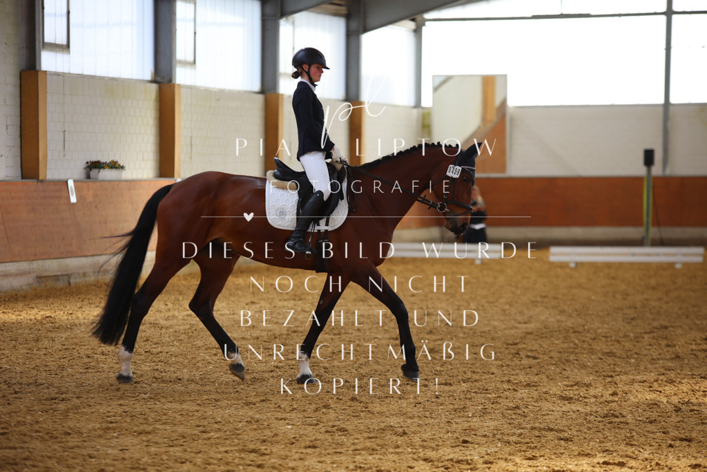 IMGT3527 | pl-fotografie