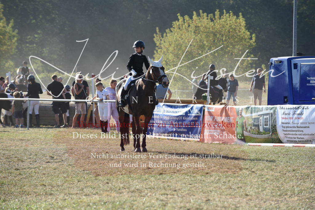 DSC_5730 | Pferde- und Turnierfotografie in Westsachsen. Pferdeportraits, Auftragszeichnungen und intuitive Kunst.