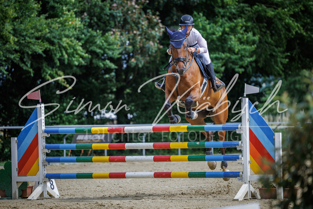 20260705-_3LI6613 | Tierfotografie Pferde, Hunde, Katzen, Haustiere.
Turnierfotografie Reitturniere, Reiten, Springreiten, Dressur in Hanau, dem Main-Kinzig-Kreis und dem Rhein-Main- Gebiet um Frankfurt