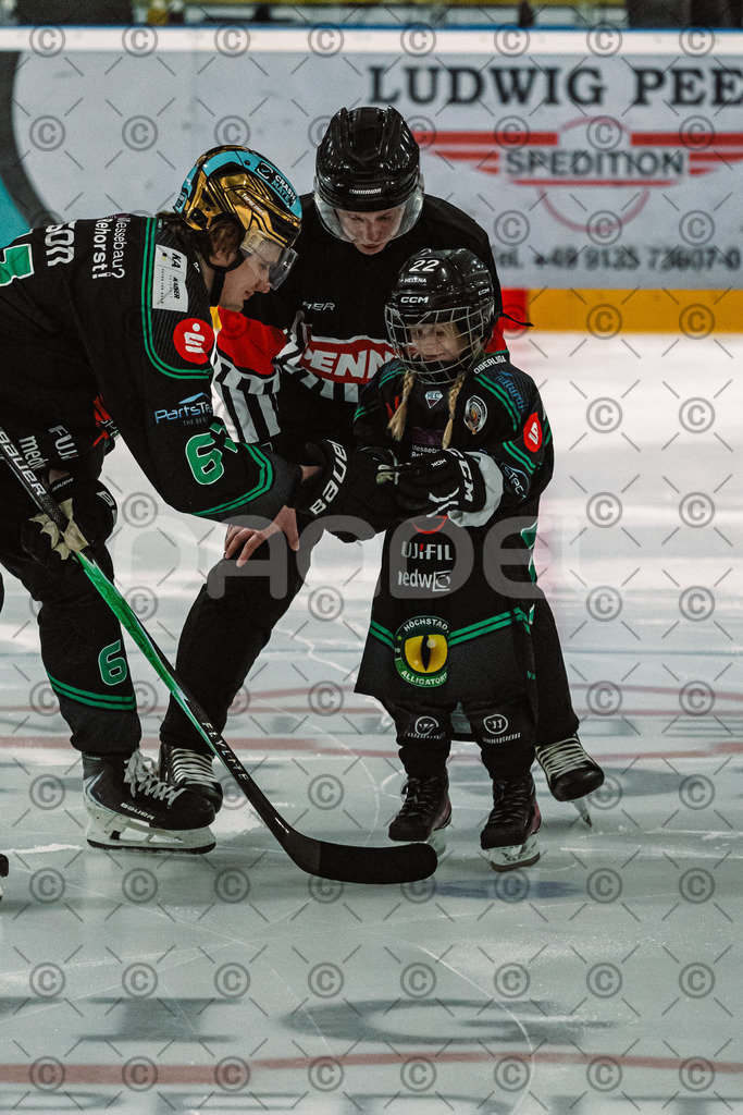 Alligators_vs_Selb_27_02_2026-3 | Höchstadt Alligators Fotogalerie: Eishockey-Action aus Franken. Professionelle Spielfotos, Portraits & Stadionbilder zum Download. Jetzt entdecken! - Realisiert mit Pictrs.com