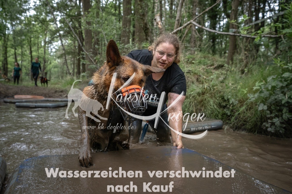 1229_ZZ99468T | kk-dogfotos