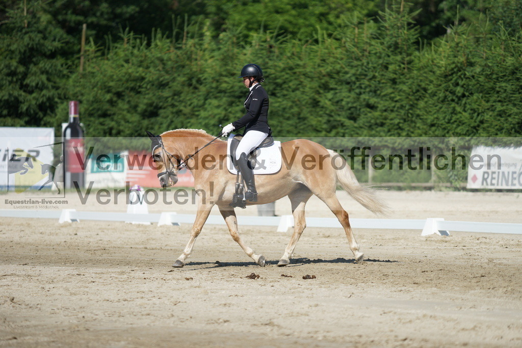 DSC02995 | equestrian-live-com