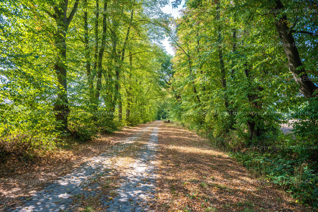 Harsefeld Auetal_ELS_1627040922 | Fotos aus den Touristenorten aus Norddeutschland. - Realisiert mit Pictrs.com