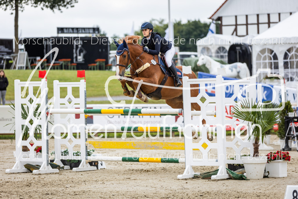 BHO-2PhSpr-M-347 | MomenTaufnahmen Pferdesportfotos